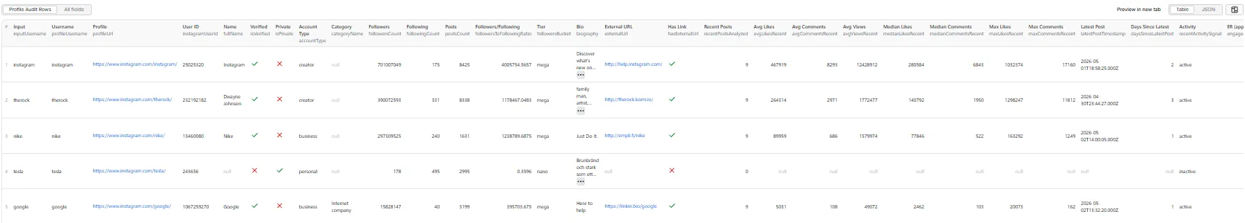 Profile Audit Rows table view — one row per analyzed Instagram account, with risk bucket, confidence, flags, and reason fields