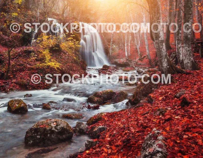 Nature with watermark