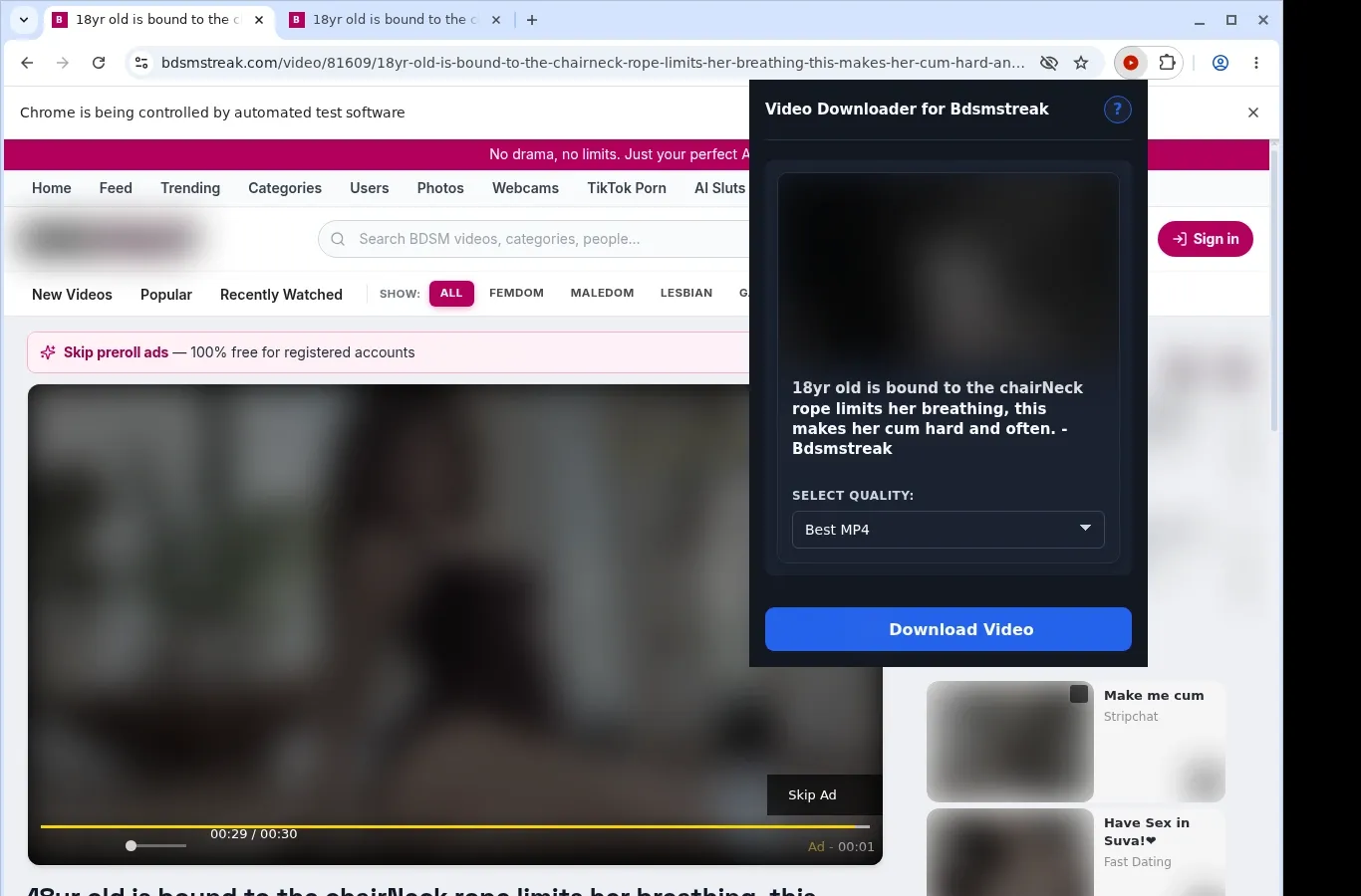 Bdsmstreak Downloader