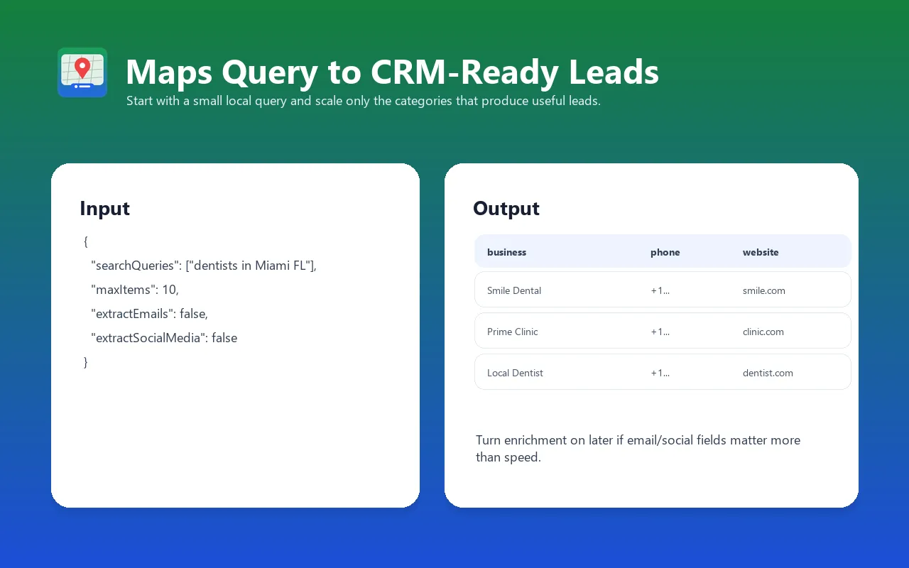 Google Maps Leads input and output example