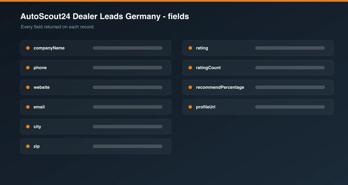 AutoScout24 Dealer Leads Germany data fields