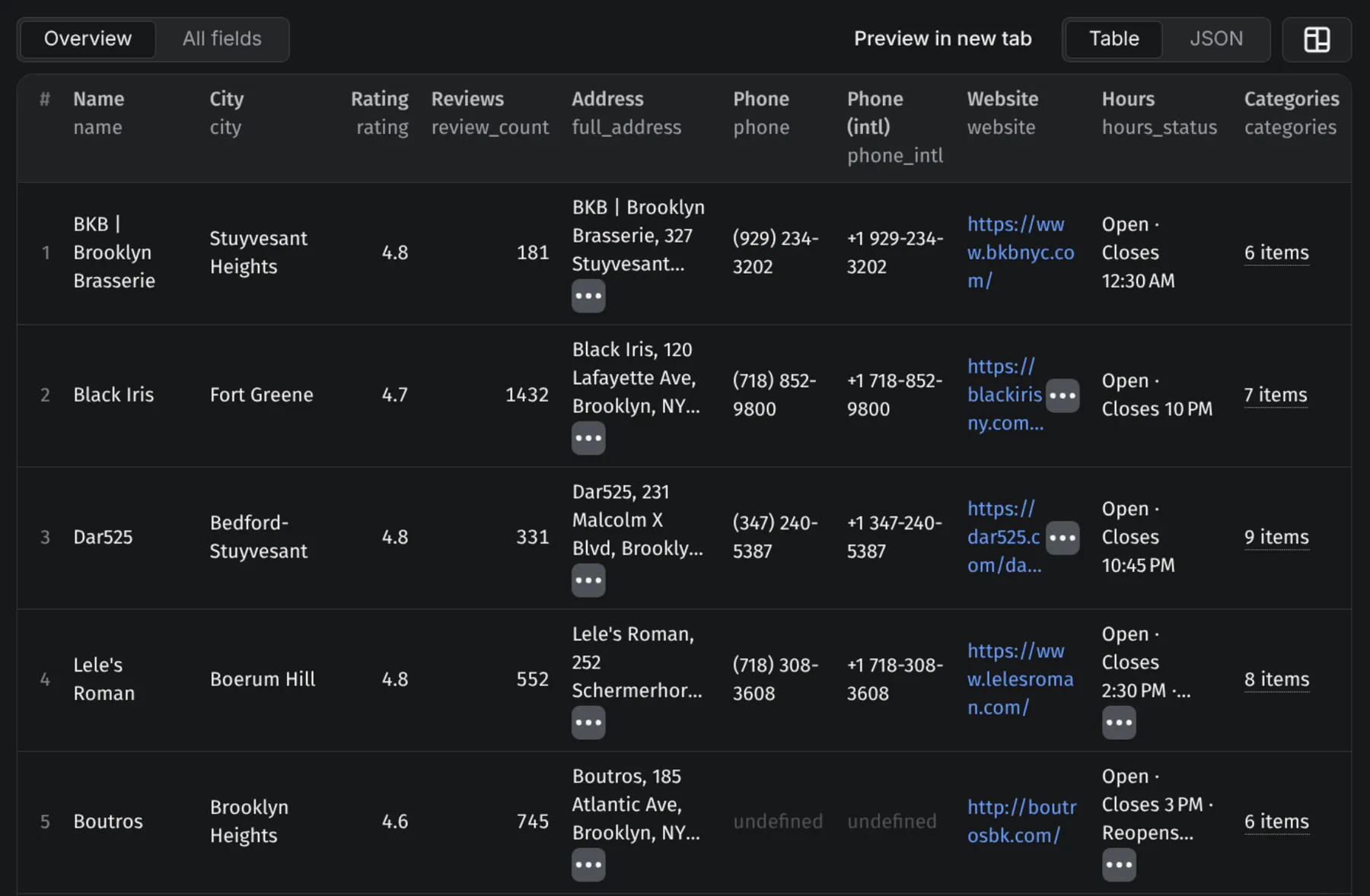 Google Maps scraper output in the Apify console: business name, phone number, website, opening hours, rating and review count for every place, a Google Places API alternative result set