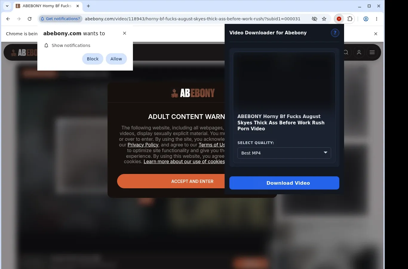 Abebony Video Downloader