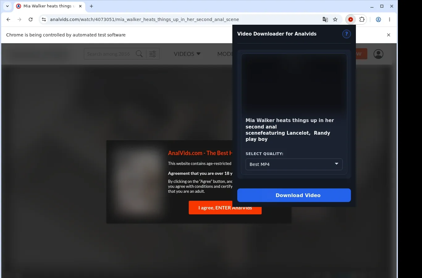 AnalVids Video Downloader