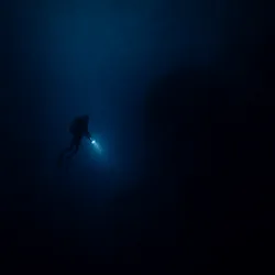 MCP Deep Web Search avatar