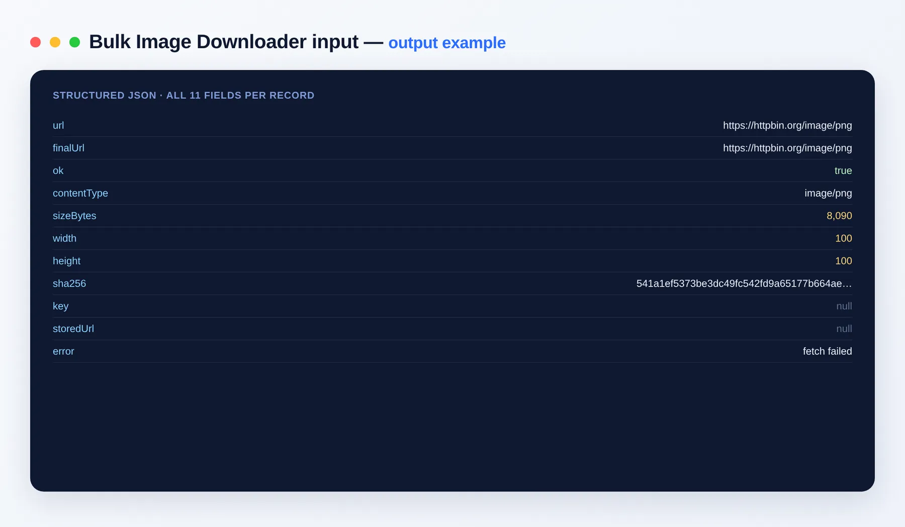 Bulk Image Downloader output example — image rows with content type, size, dimensions and hash as structured JSON