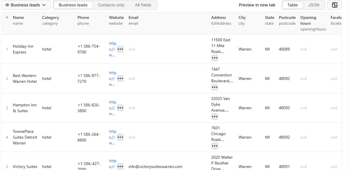 Local Business Leads Scraper sample output table
