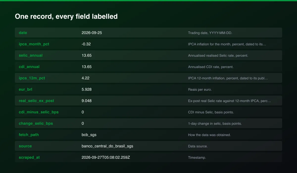 Brazil Selic Rate, IPCA Inflation & USD/BRL Daily Panel field map of one record