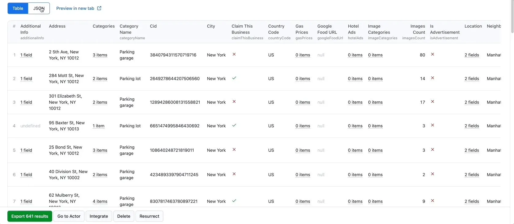 Google MapsExtractor output
