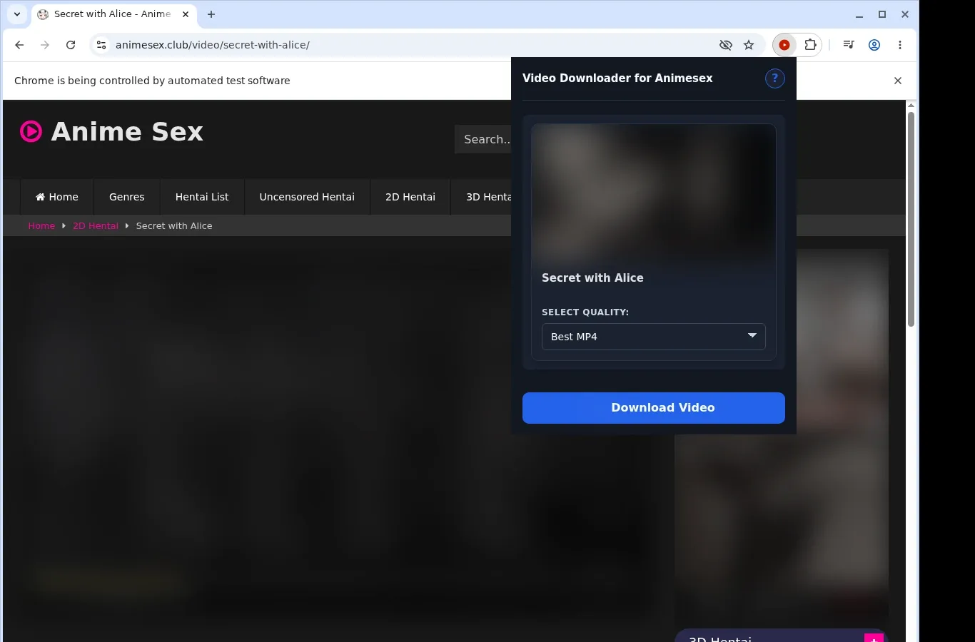 Animesex Video Downloader