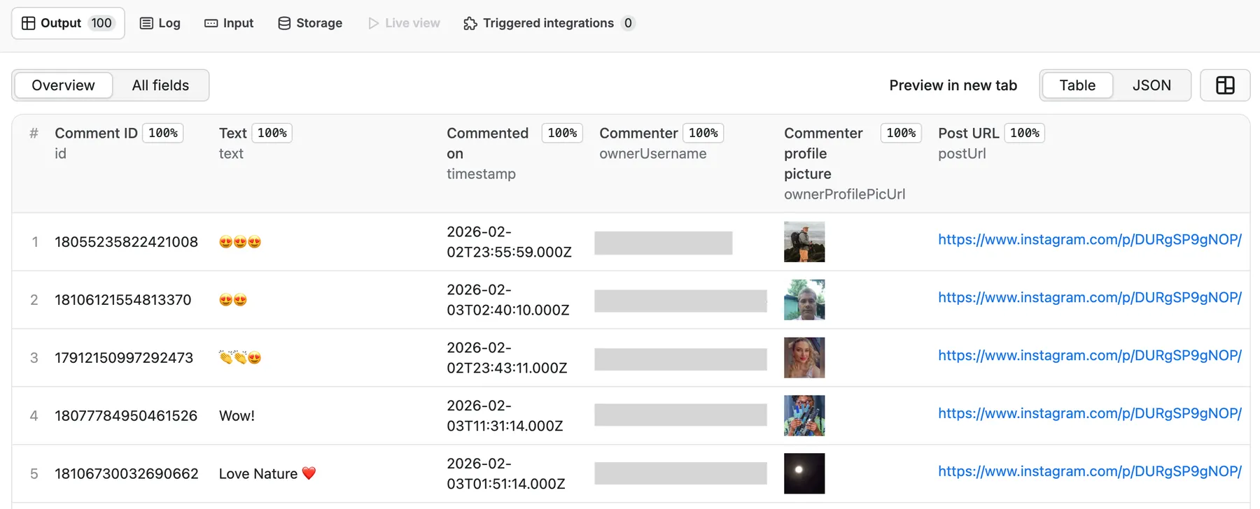 Instagram Comment Scraper output