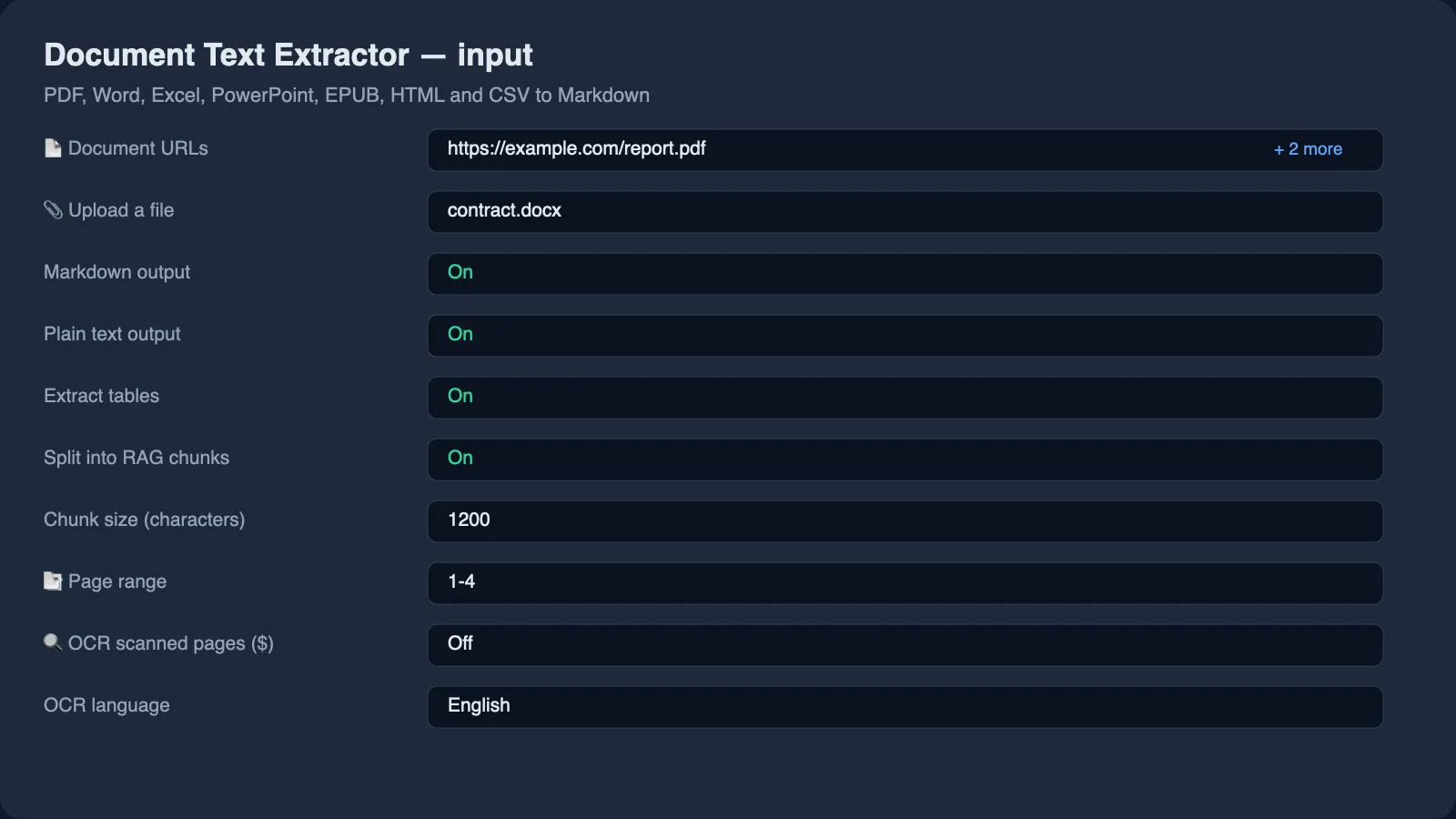 Document Text Extractor input form: PDF, Word and Excel URLs, Markdown output, RAG chunks and OCR options