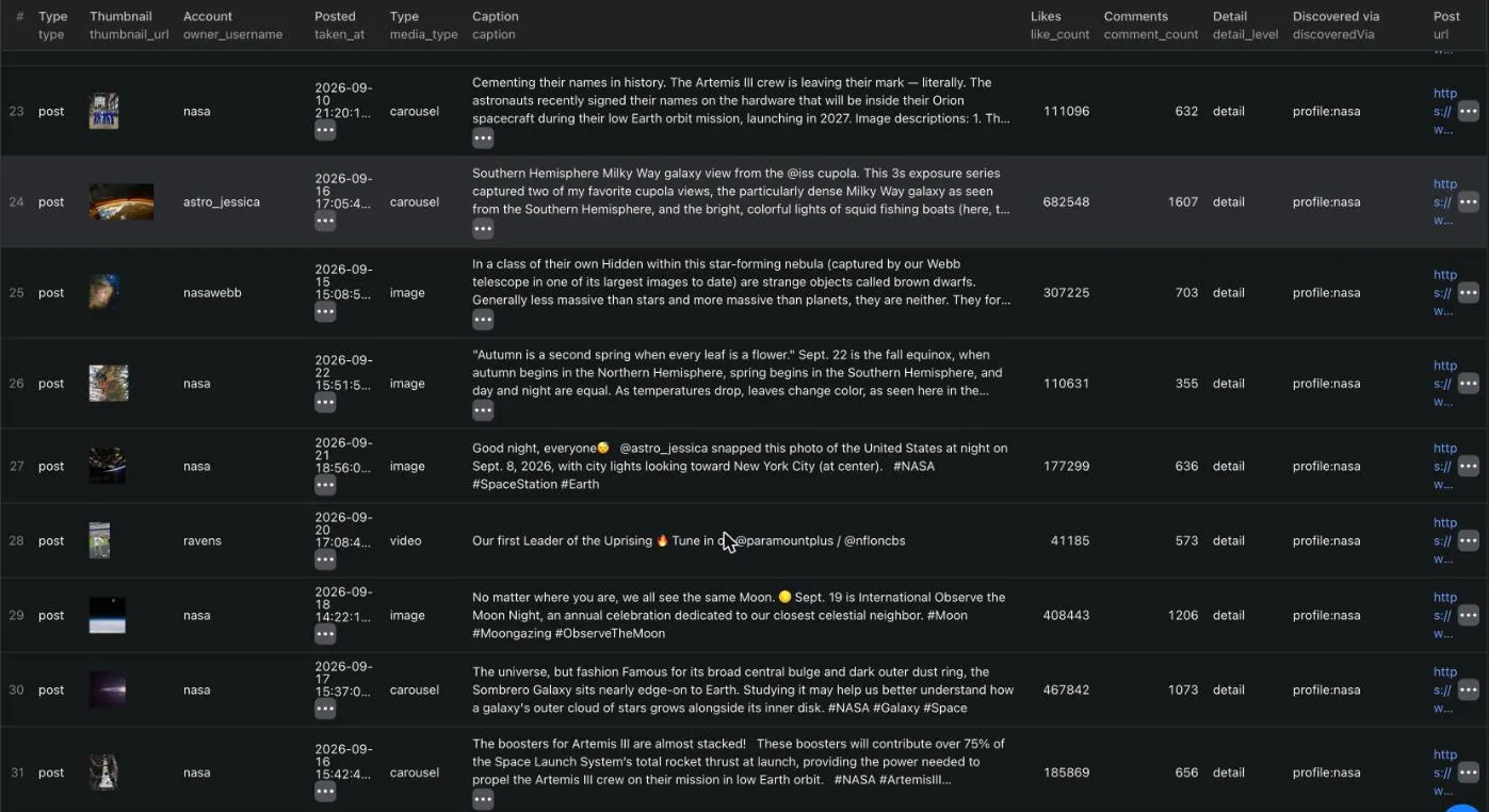 Posts table of a run over organisation accounts at detail level: thumbnail, account, timestamp, type, caption, likes, comments