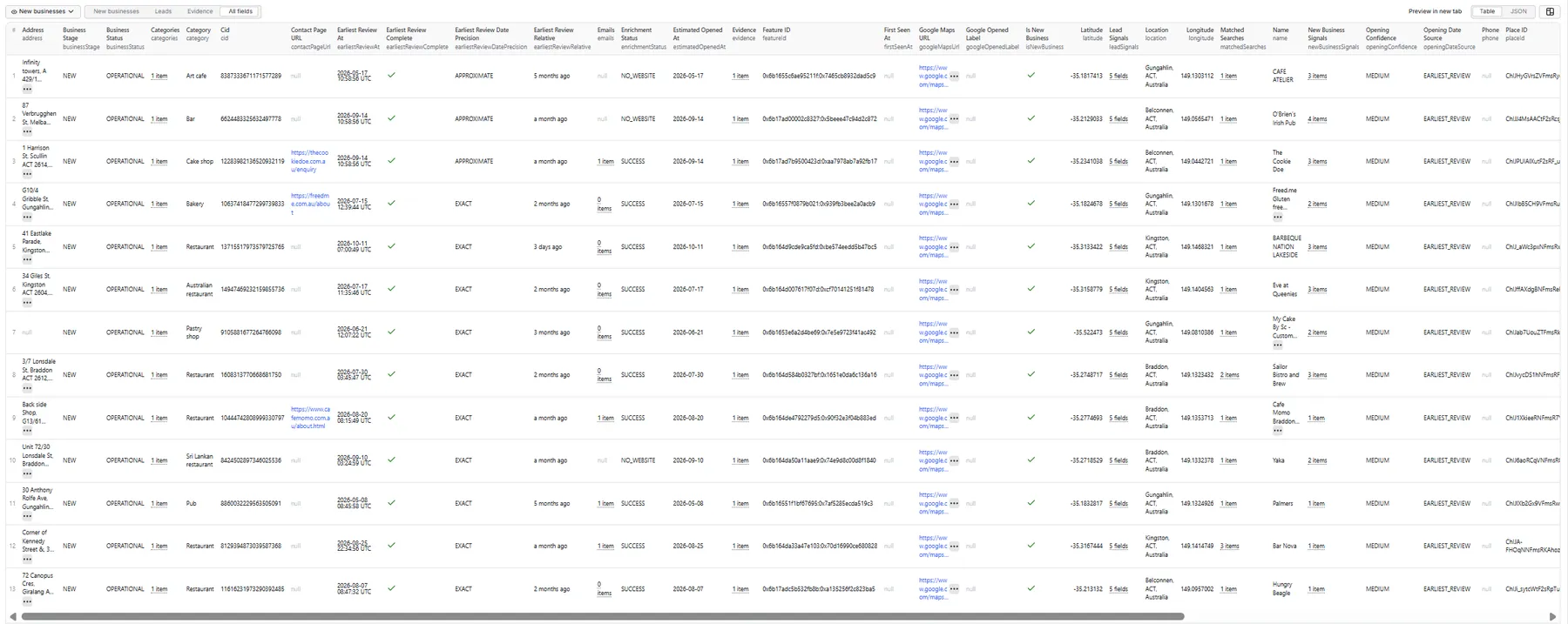 Google Maps New Business Finder — all fields table view