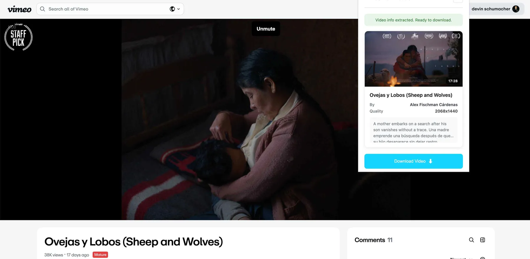 vimeo-video-downloader-screenshot5