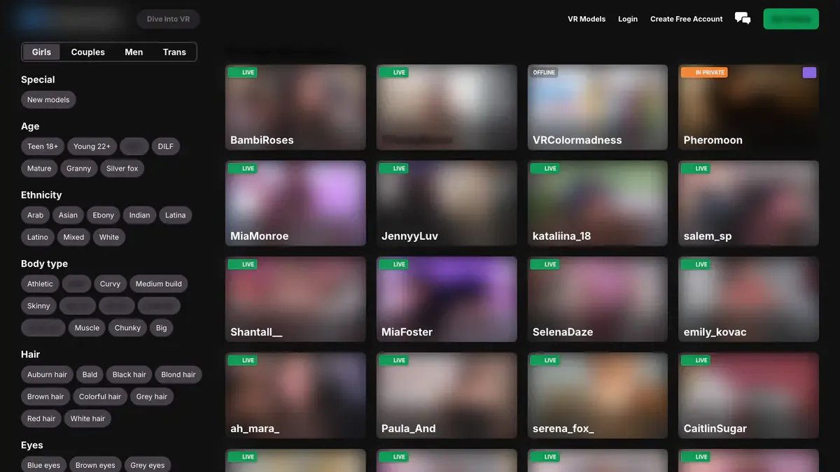DreamCamVR Downloader