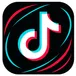 TikTok Video Scraper avatar