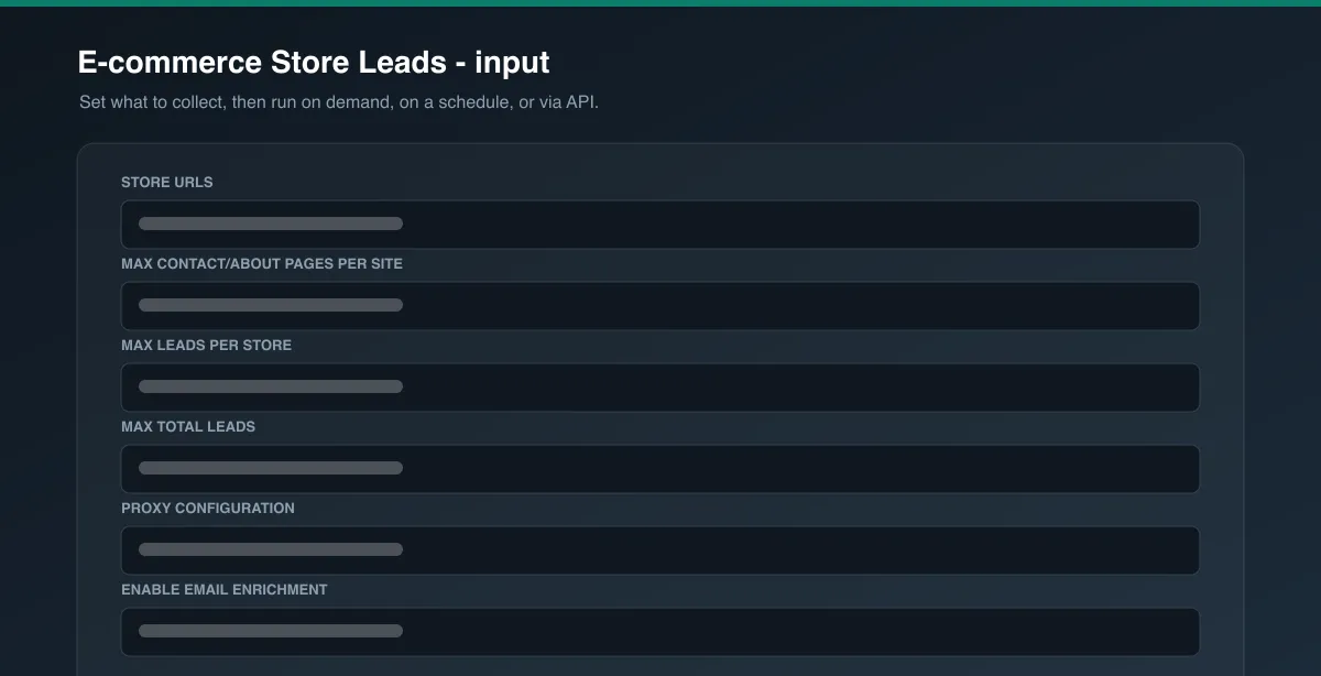 E-commerce Store Leads input options