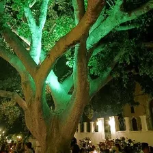 Michalis Paignigiannis