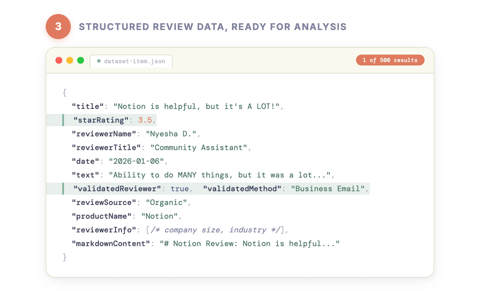 Step 3 — Structured review data, ready for analysis