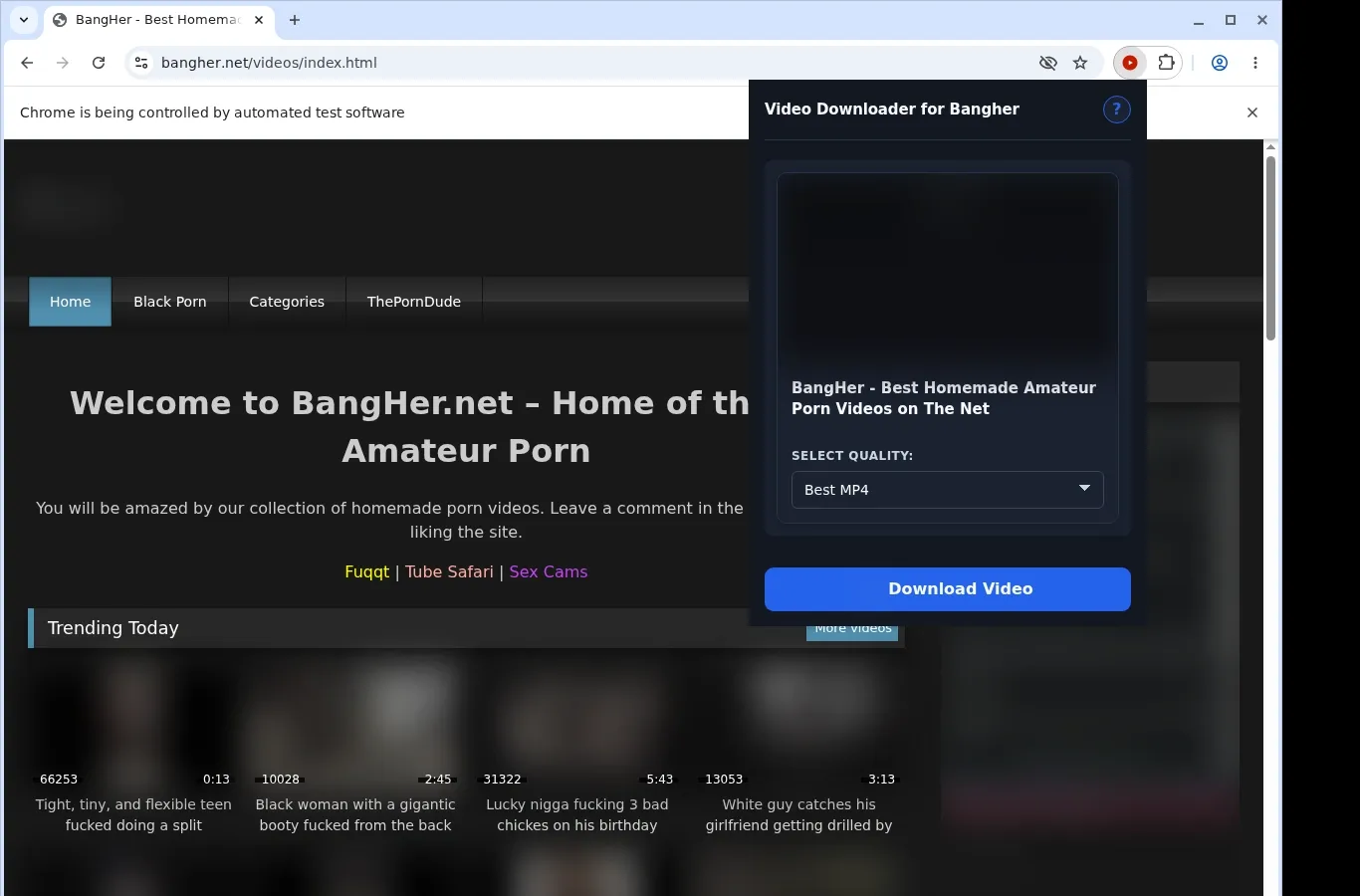 Bangher Downloader