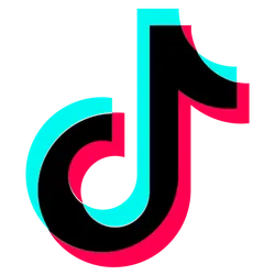 TikTok Profile Scraper