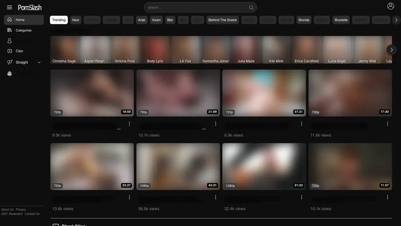 Pornslash Downloader