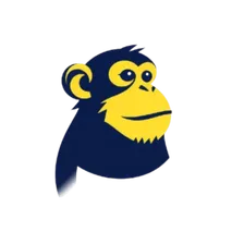 Yellow Chimp