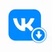 VK Clips Stats & Downloader /ВК клипы avatar