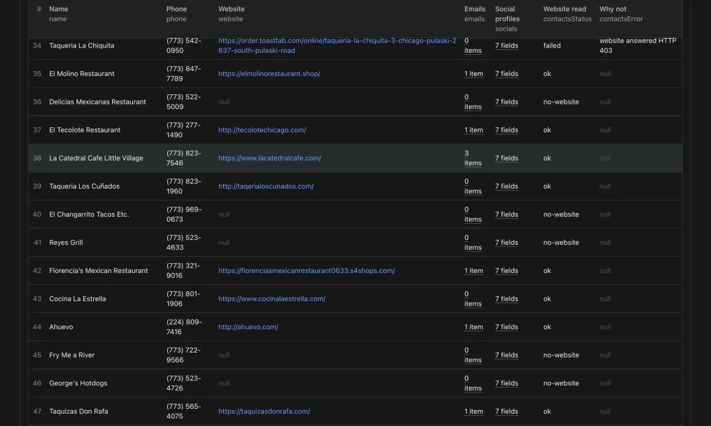 Contacts view of the same run: website, emails, social profiles and, for each website, whether it was read or why not (for example HTTP 403)