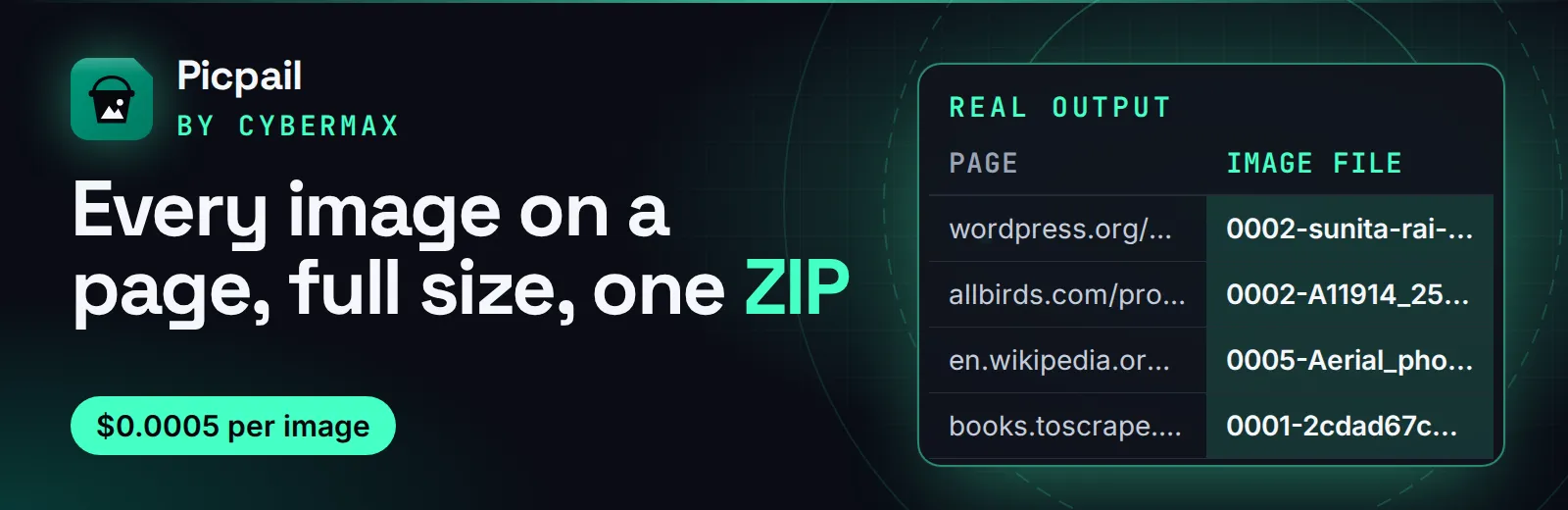 Picpail: Every image on a page, full size, one ZIP