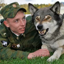 User picture